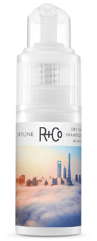 SKYLINE Dry Shampoo Powder